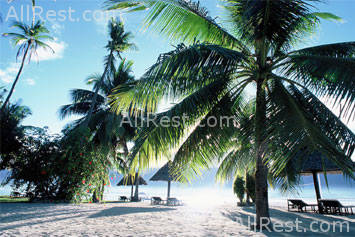 Badian Island Resort 7